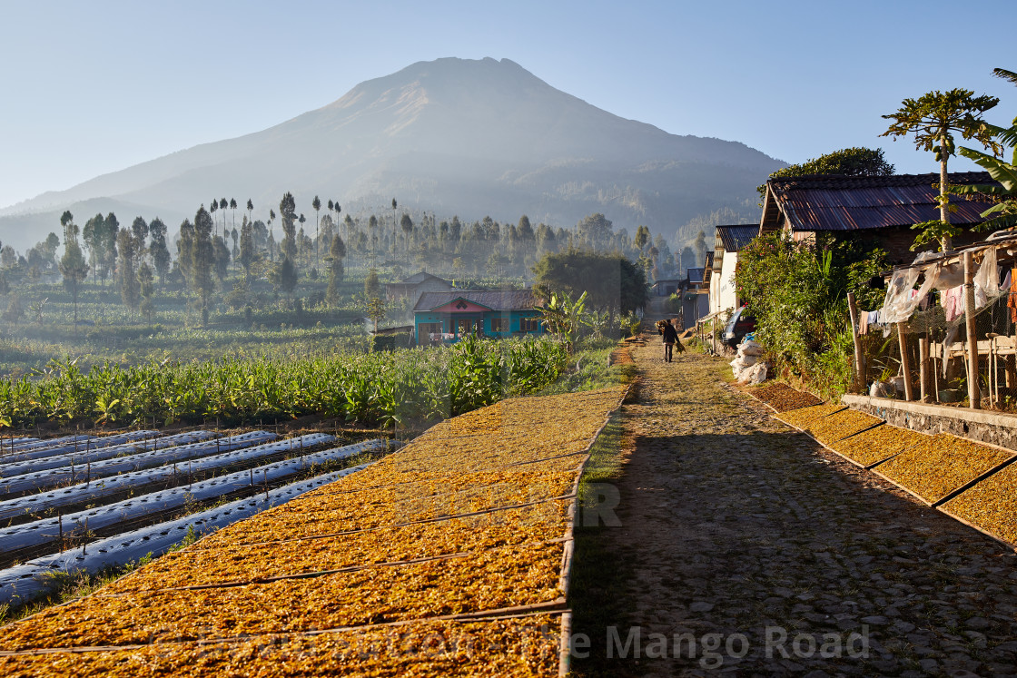 "Kledung Pass, Indonesia" stock image