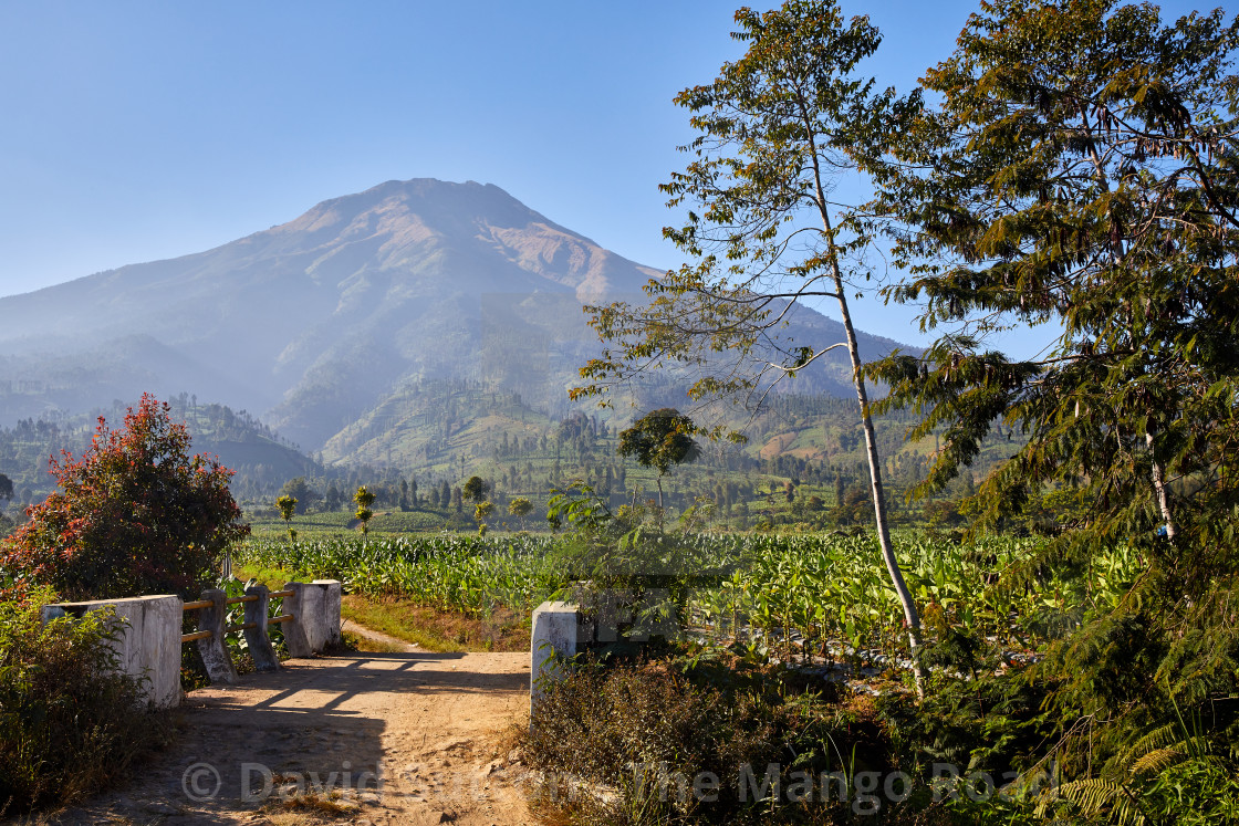 "Kledung Pass, Indonesia" stock image