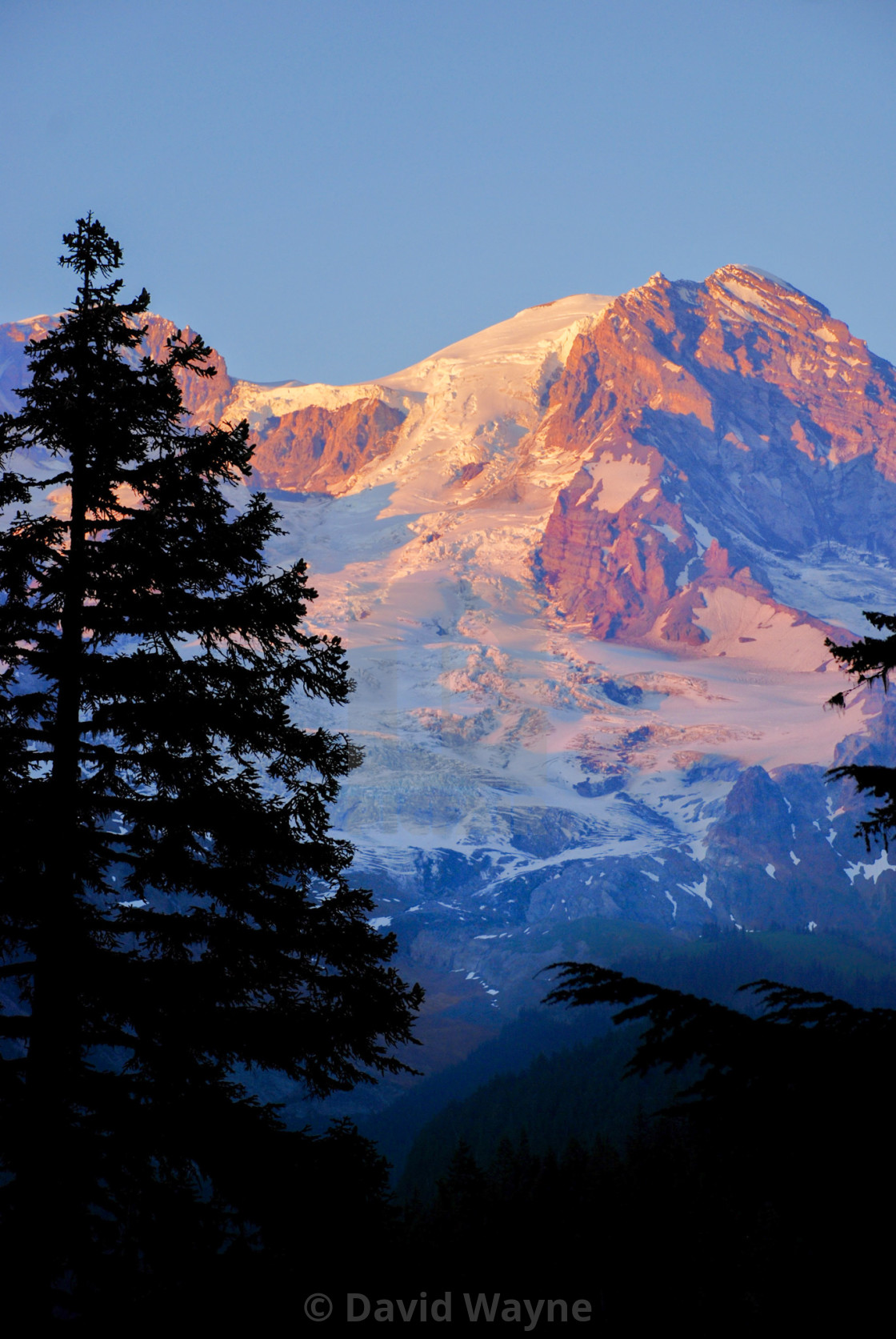 "Mount Rainier at Sunset" stock image