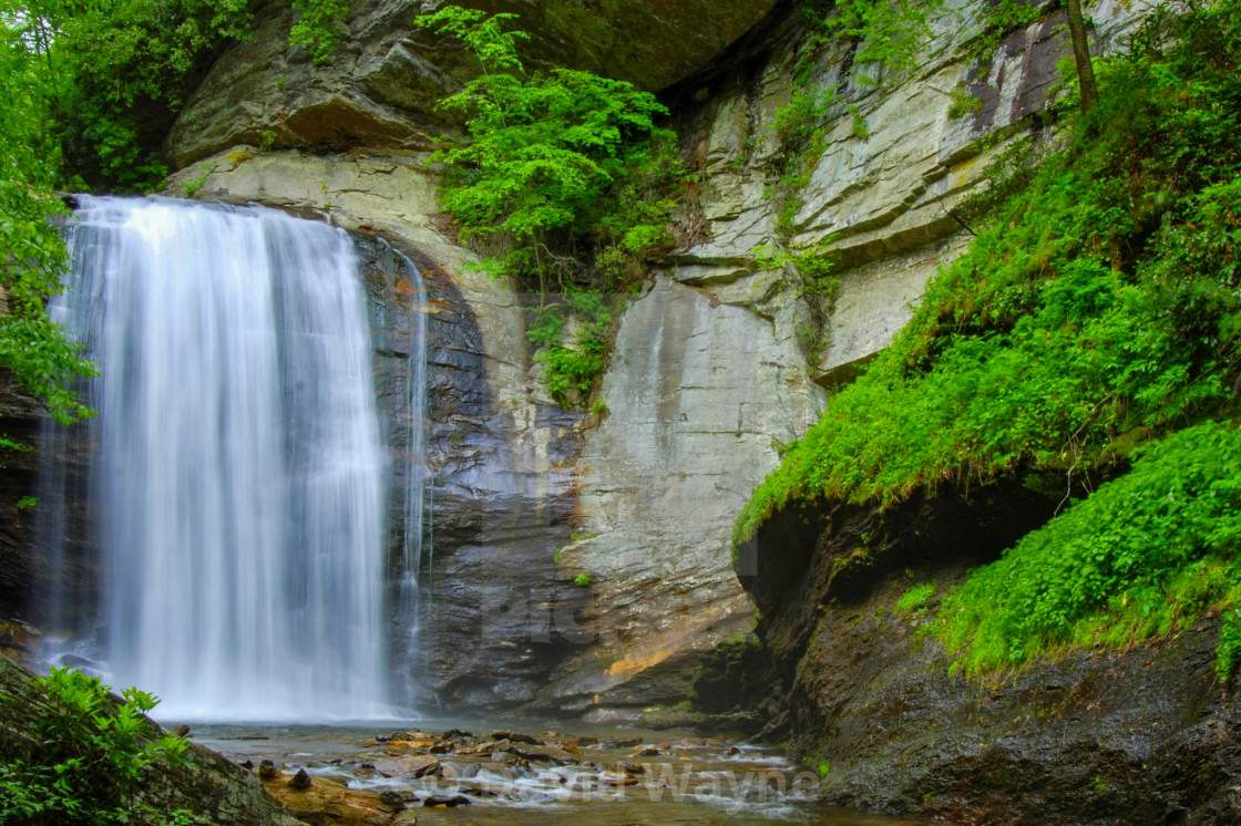 "Looking Glass Falls" stock image