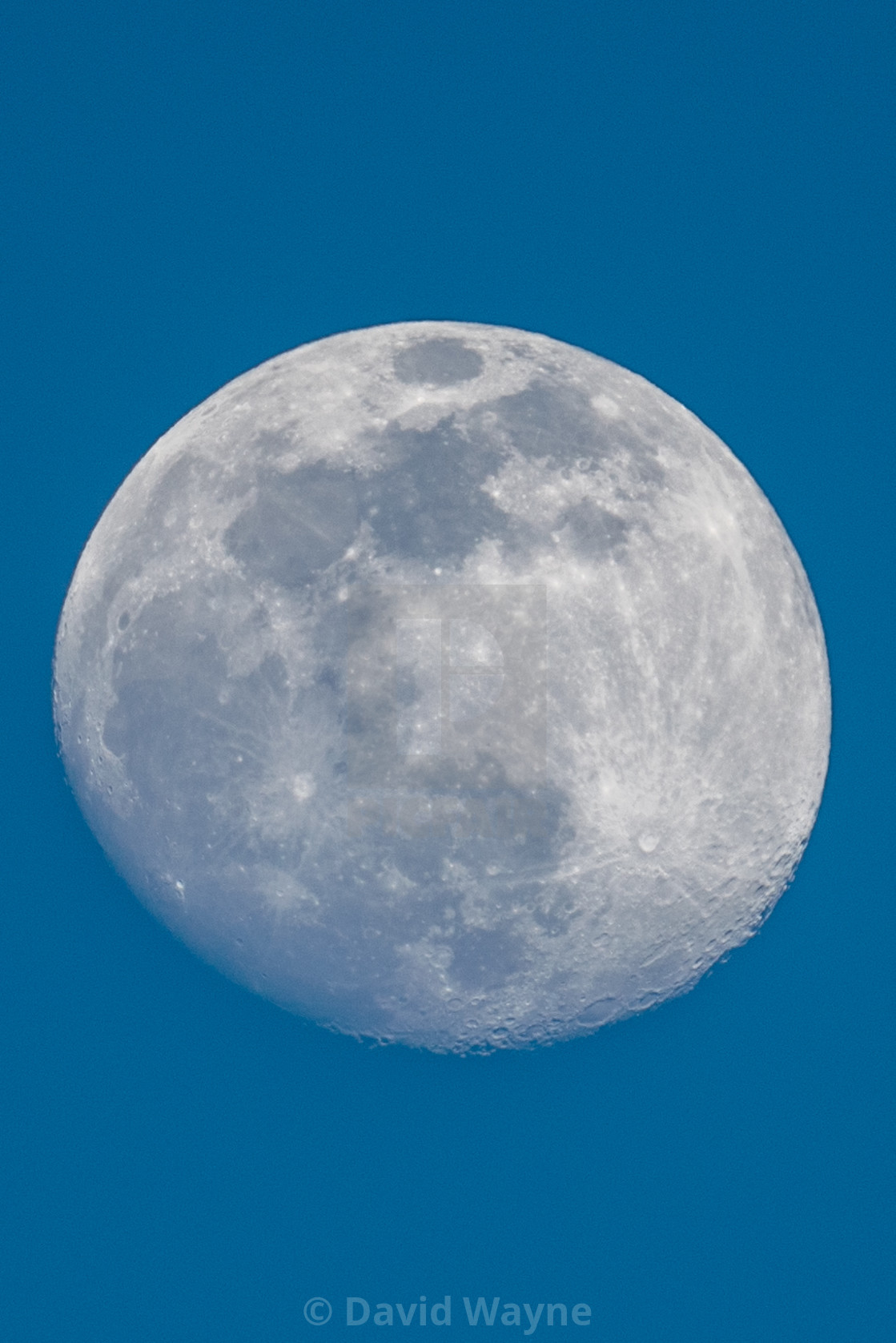 "Day Moon" stock image