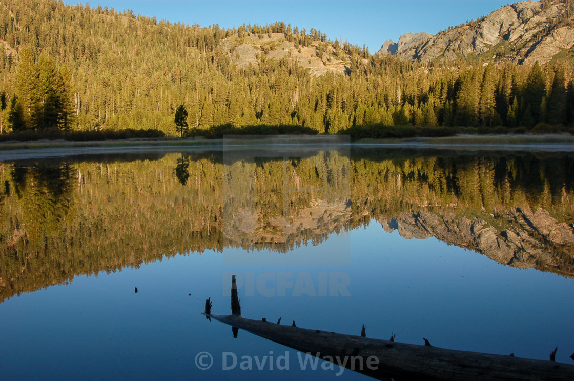 "Johnston Lake Reflection" stock image