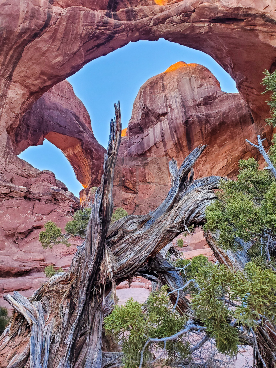 "Double Arch" stock image