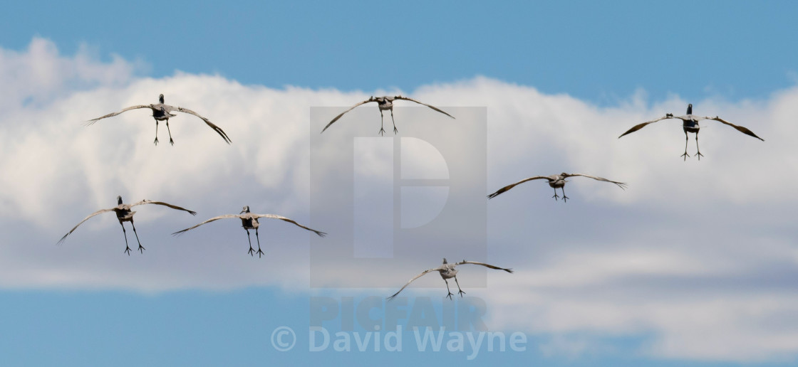 "On Approach" stock image