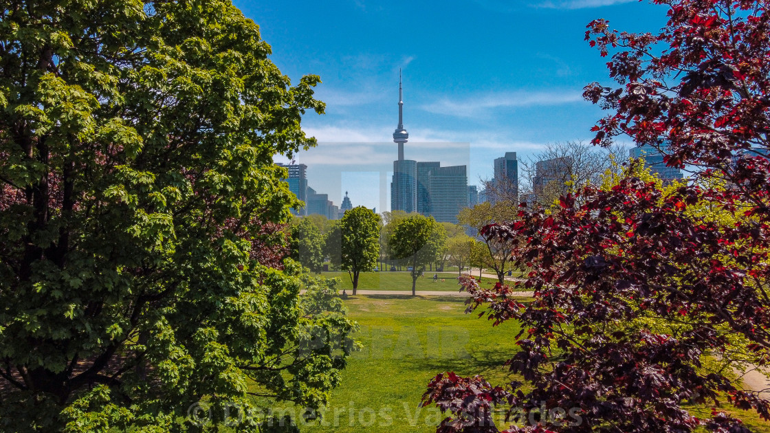 "Tree Top View of Toronto" stock image