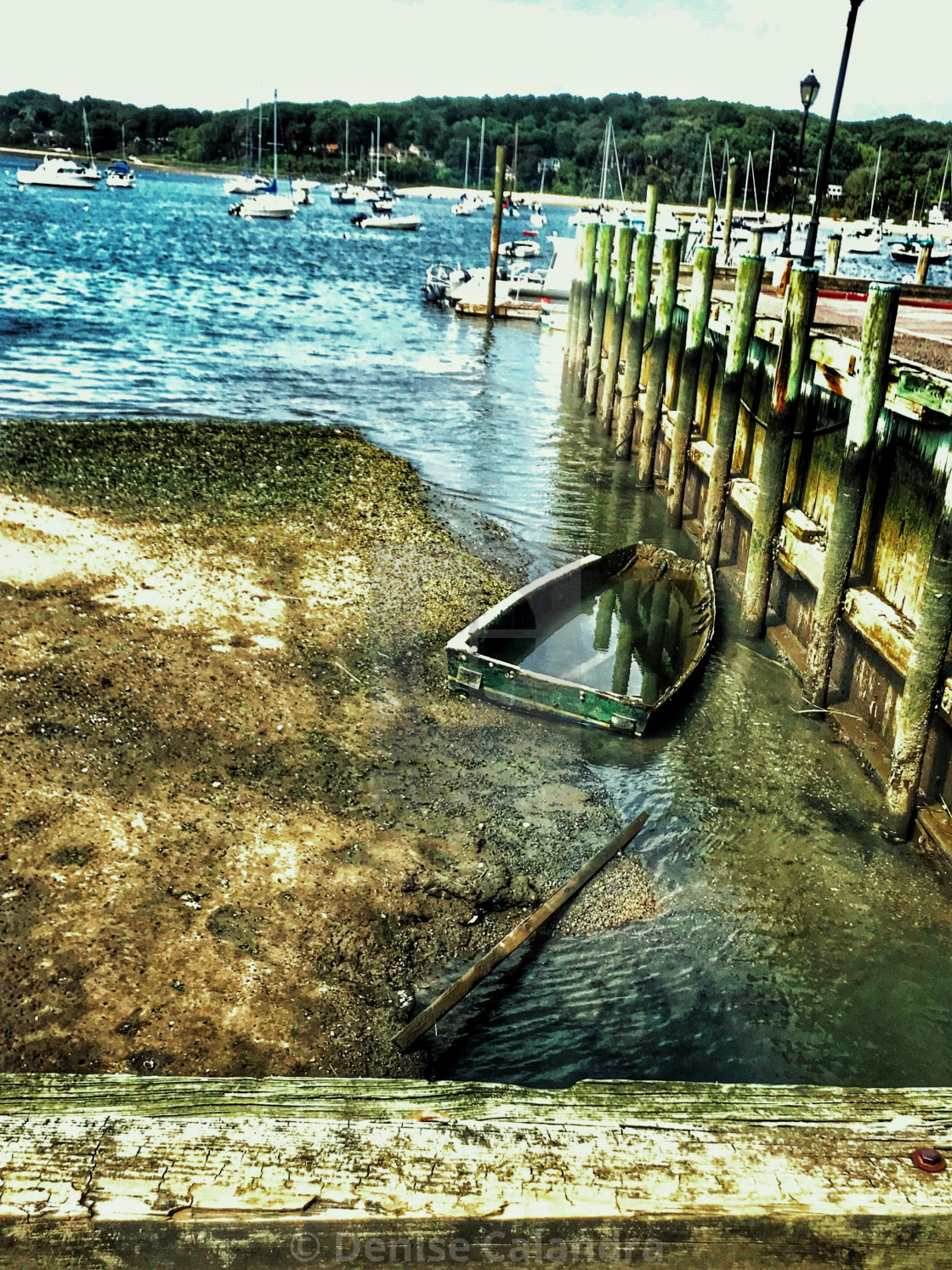 "Low Tide" by Denise Calandra - $12.21 "Low Tide" stock image
