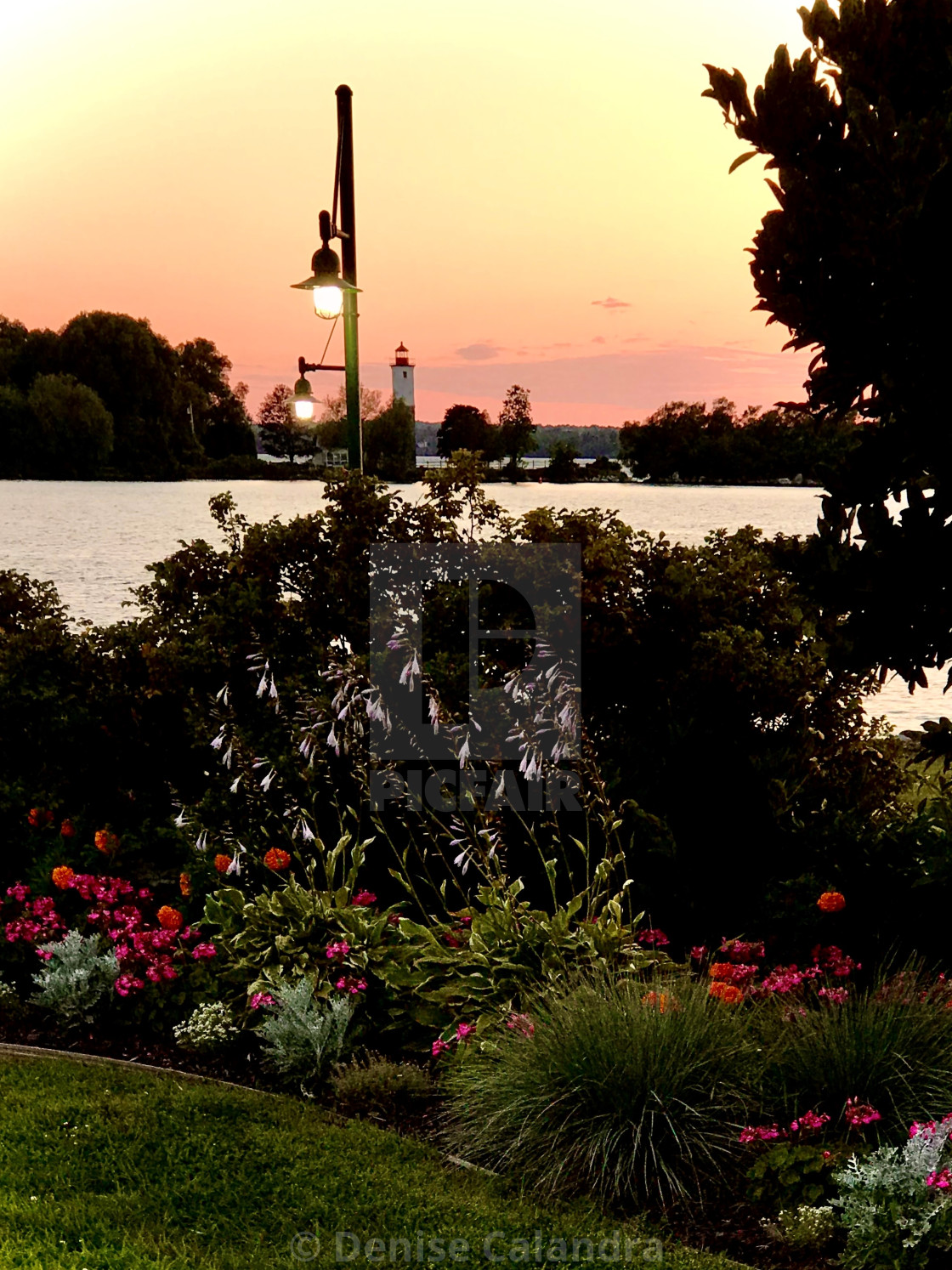 "Peaceful Evening" stock image