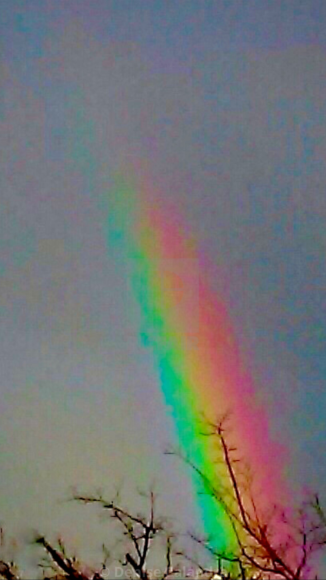 "Rainbow Promise" stock image