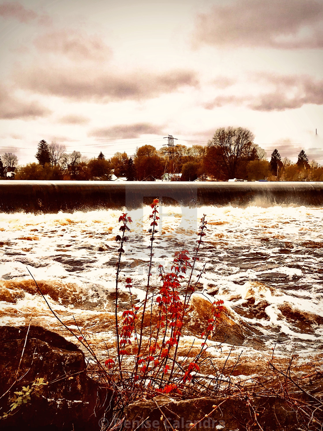 "Over flow on the Oswegatchie River" by Denise Calandra - $15.08 "Over flow on the Oswegatchie River" stock image