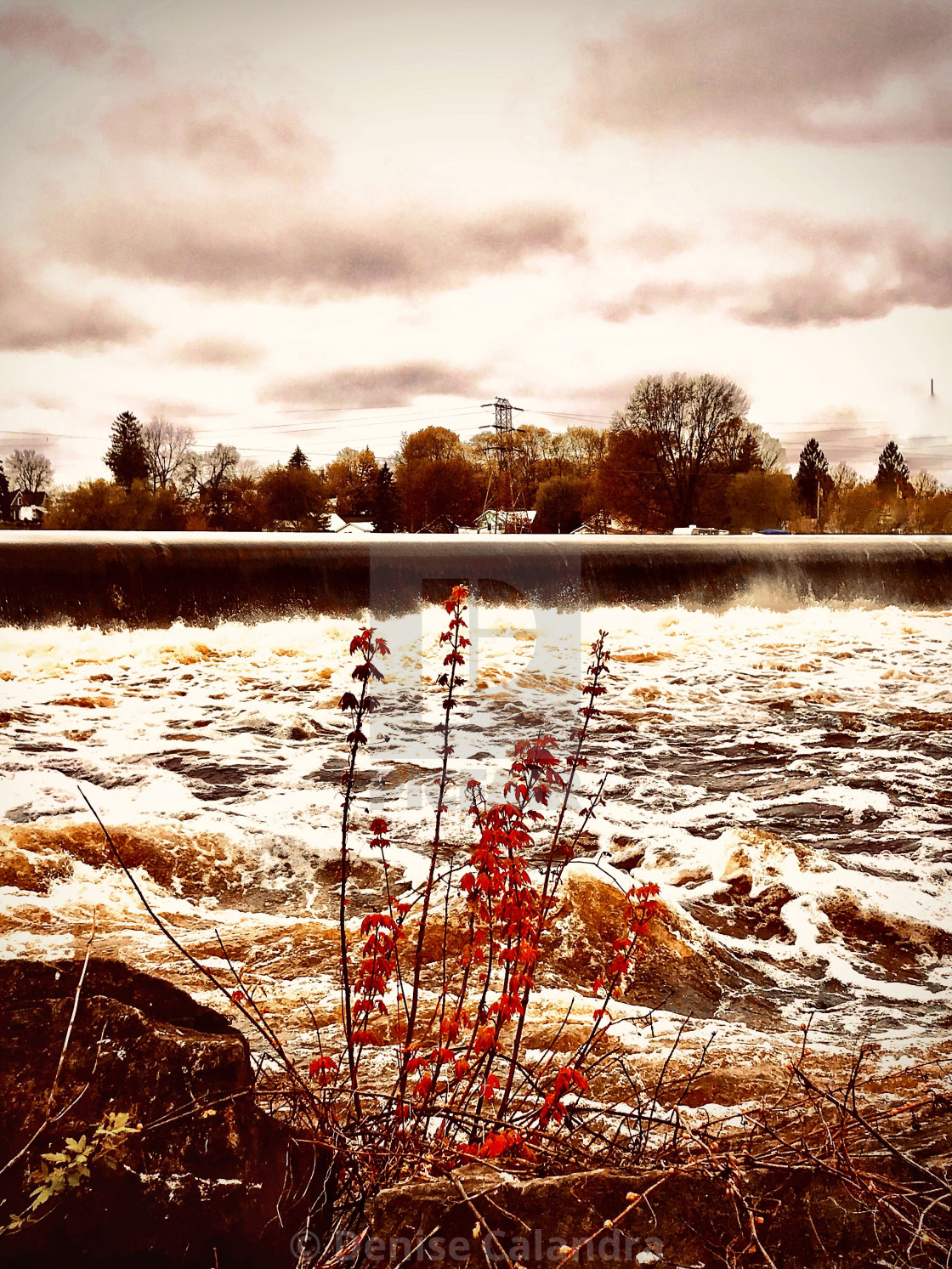 "Over flow on the Oswegatchie River" stock image