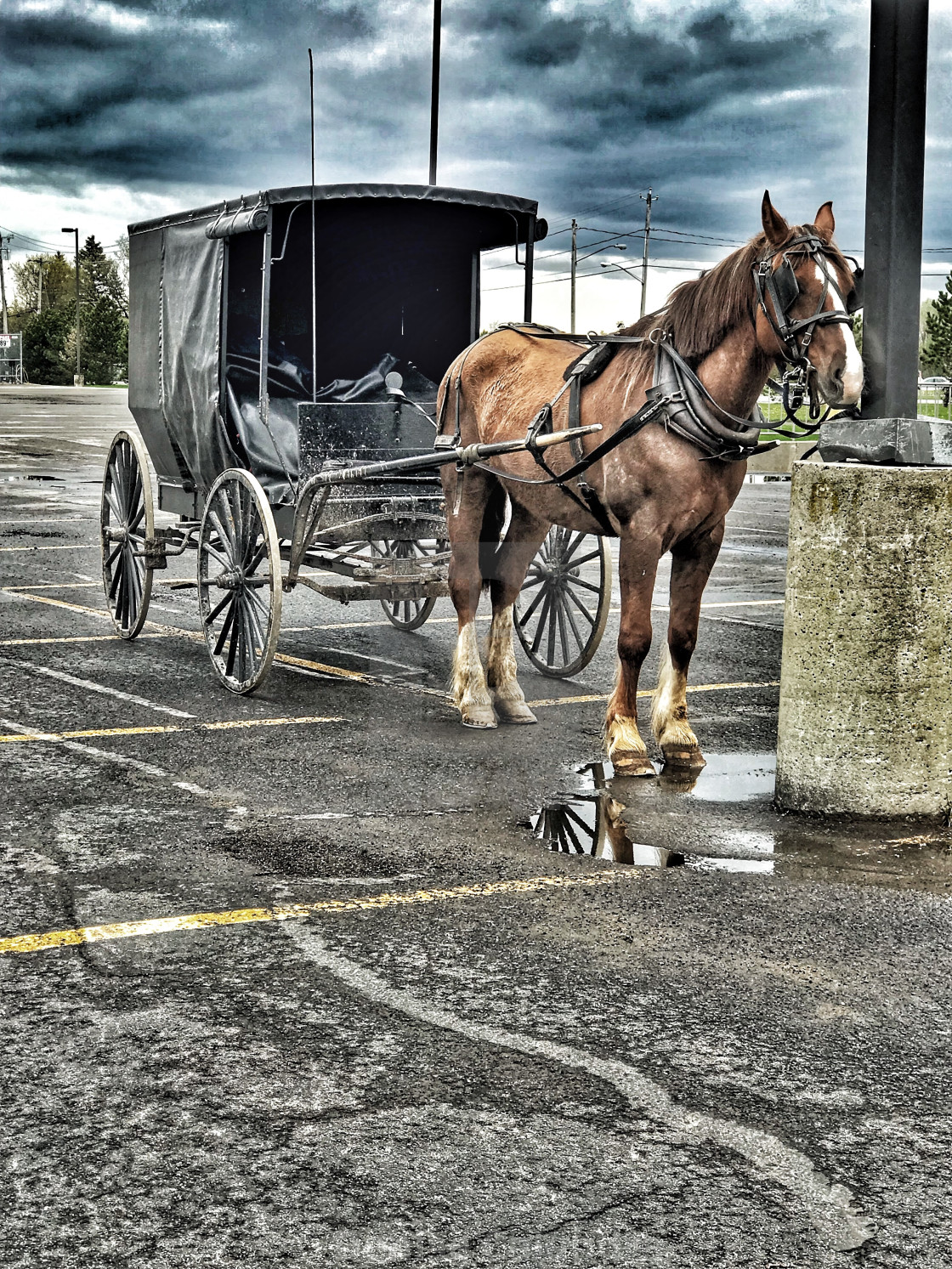 "Amish Shopping Day" stock image