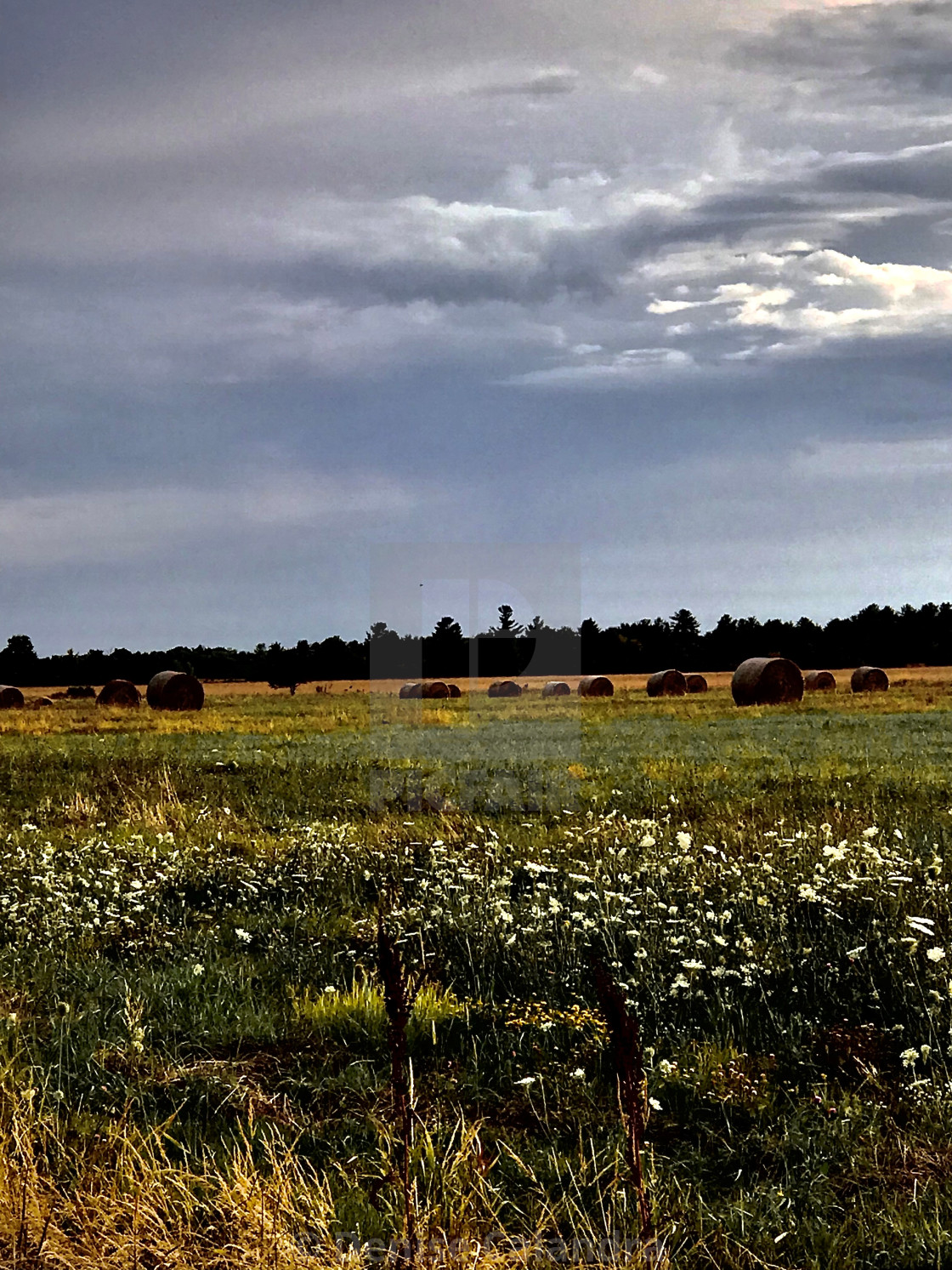 "Autumn on the Horizon" stock image