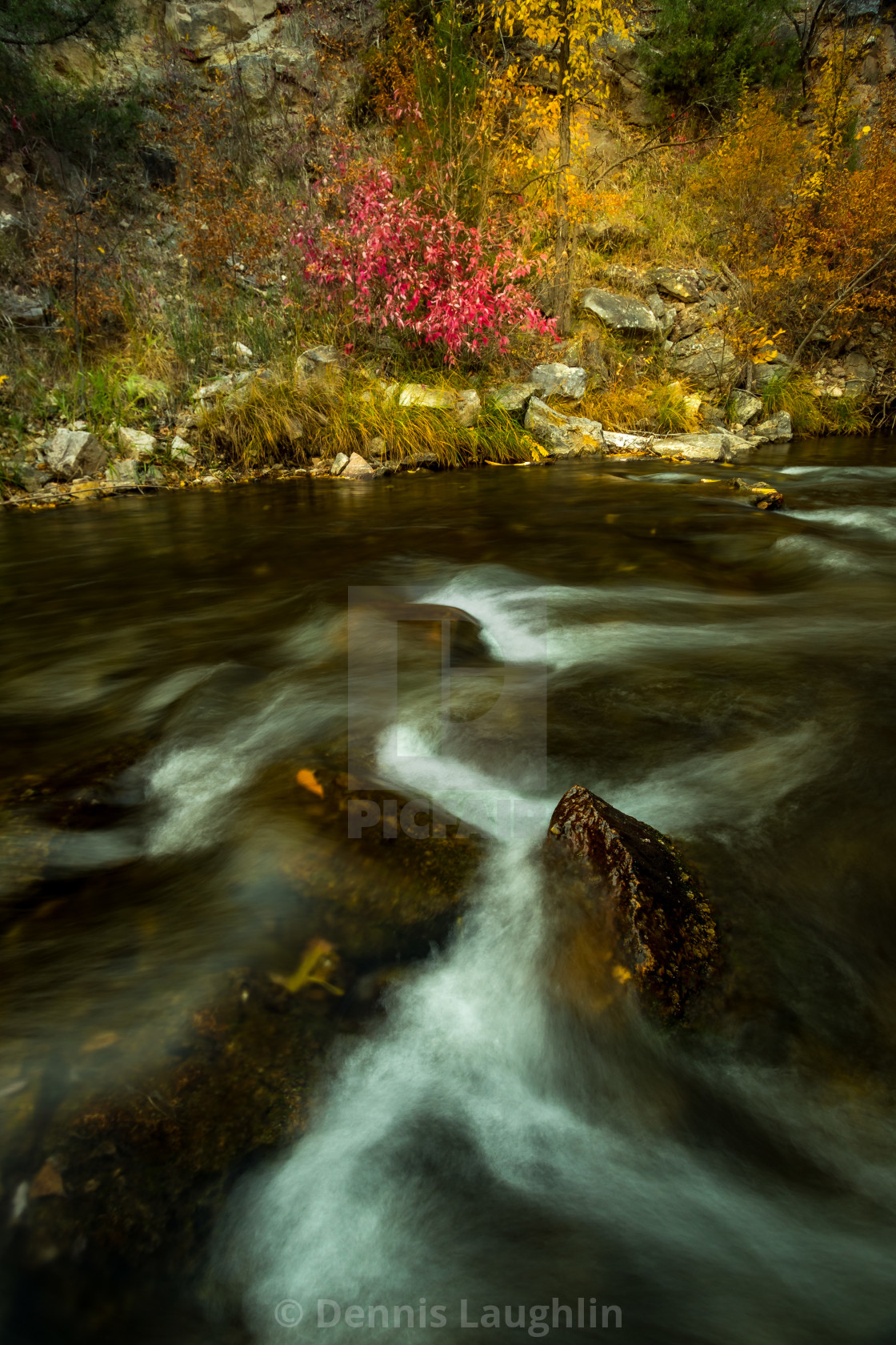 "Fall Colors by the Creek" stock image