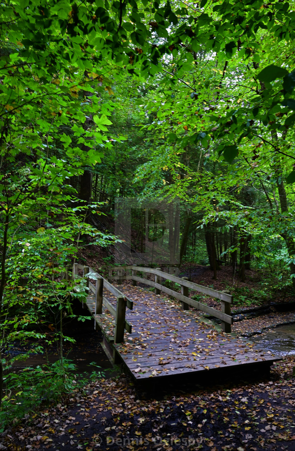 "Fillmore Glen SP bridge" stock image