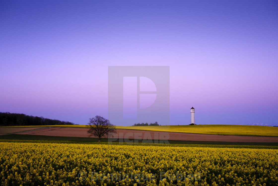 "The joy of spring" by Dominique Dubied - $22.96 "The joy of spring" stock image