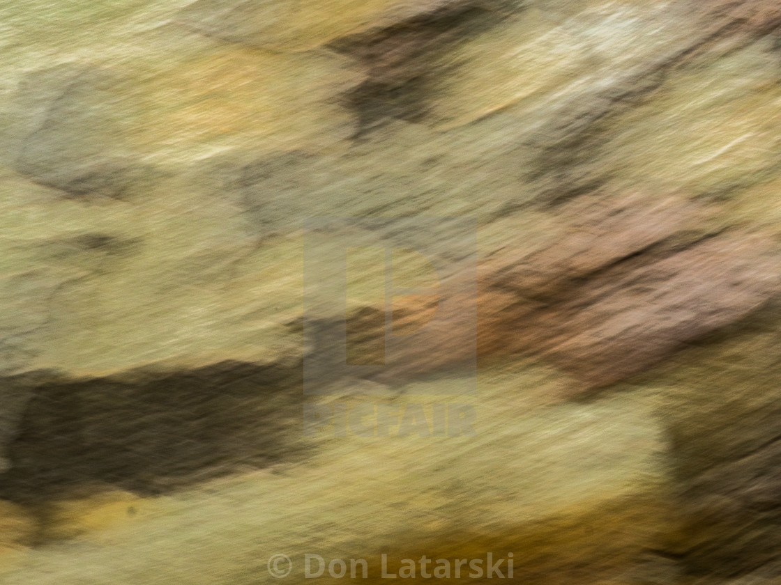 "Sycamore bark abstract #4" stock image