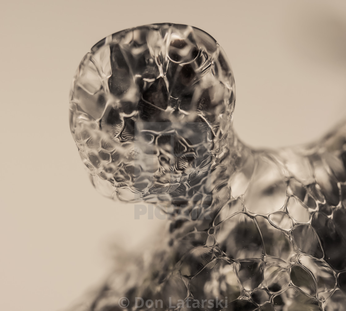 "Ice head #3" stock image