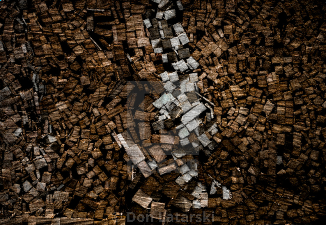 "The Woodpile" stock image