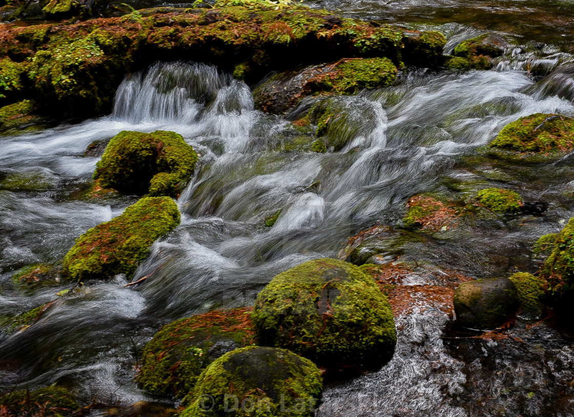 "Olallie Creek" stock image