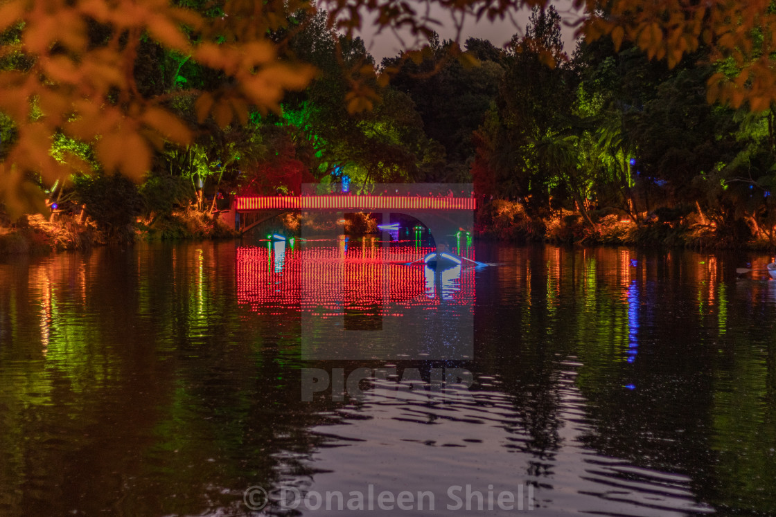 "Pukekura Park lake illuminated" by Donaleen Shiell - $12.59 "Pukekura Park lake illuminated" stock image