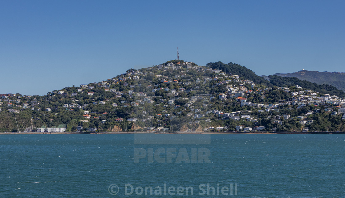 "Wellington homes from ferry" by Donaleen Shiell - $12.59 "Wellington homes from ferry" stock image