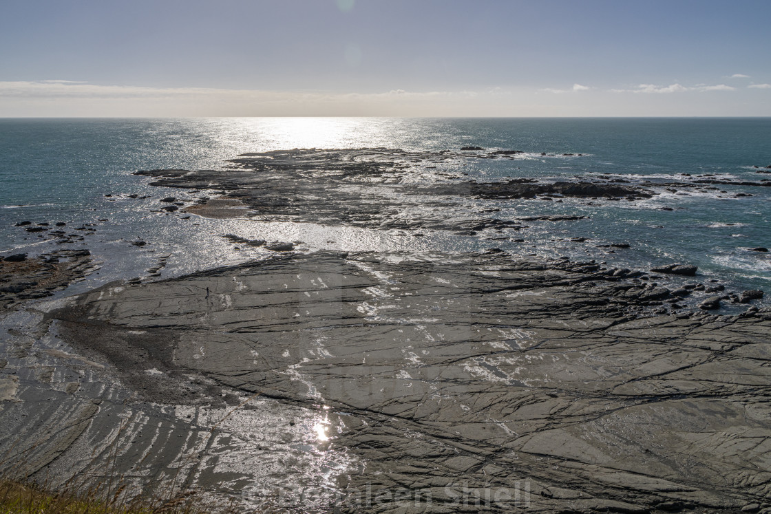 "Looking down onto the rocky platform at Point Kean, Kaikoura" by Donaleen Shiell - $12.59 "Looking down onto the rocky platform at Point Kean, Kaikoura" stock image