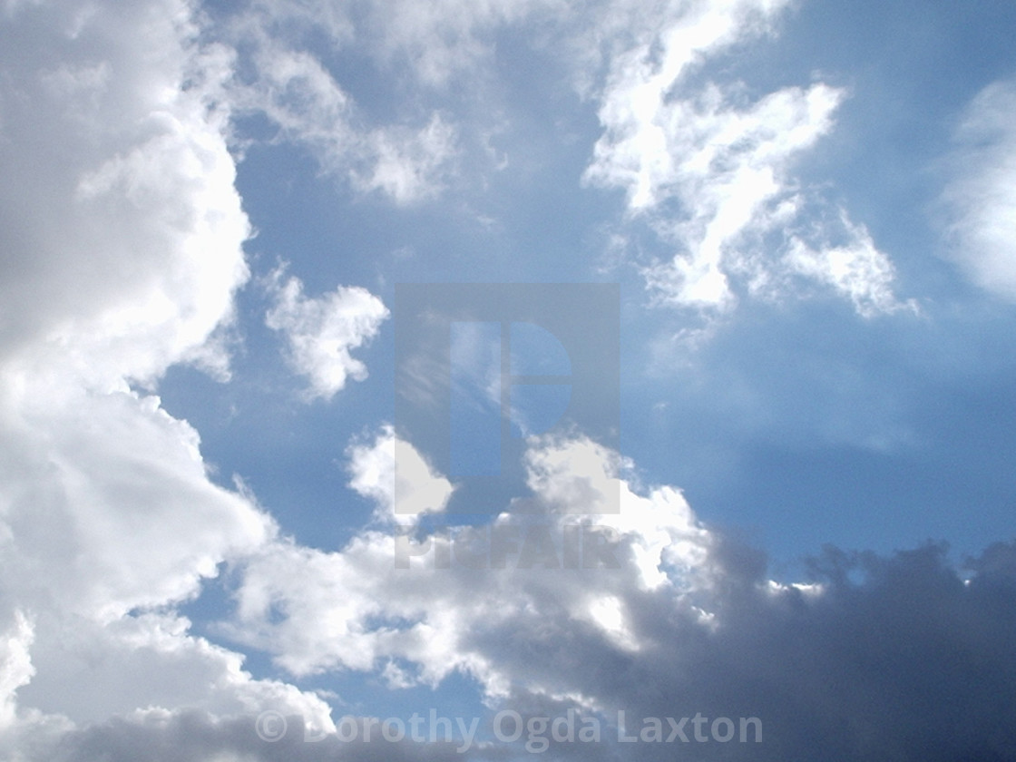 "The Sky From My Yard" by Dorothy Ogda Laxton - $7.73 "The Sky From My Yard" stock image