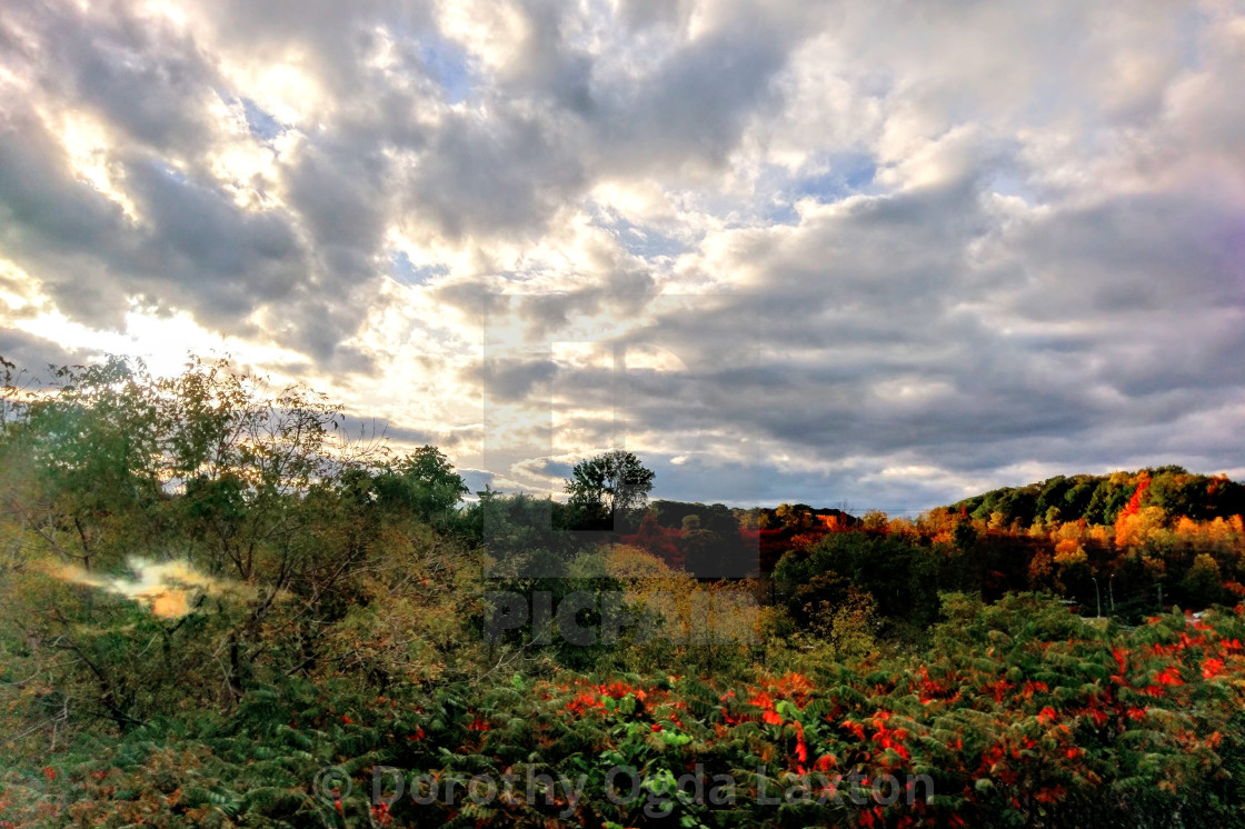 "Welcome To OZ" by Dorothy Ogda Laxton - $23.18 "Welcome To OZ" stock image