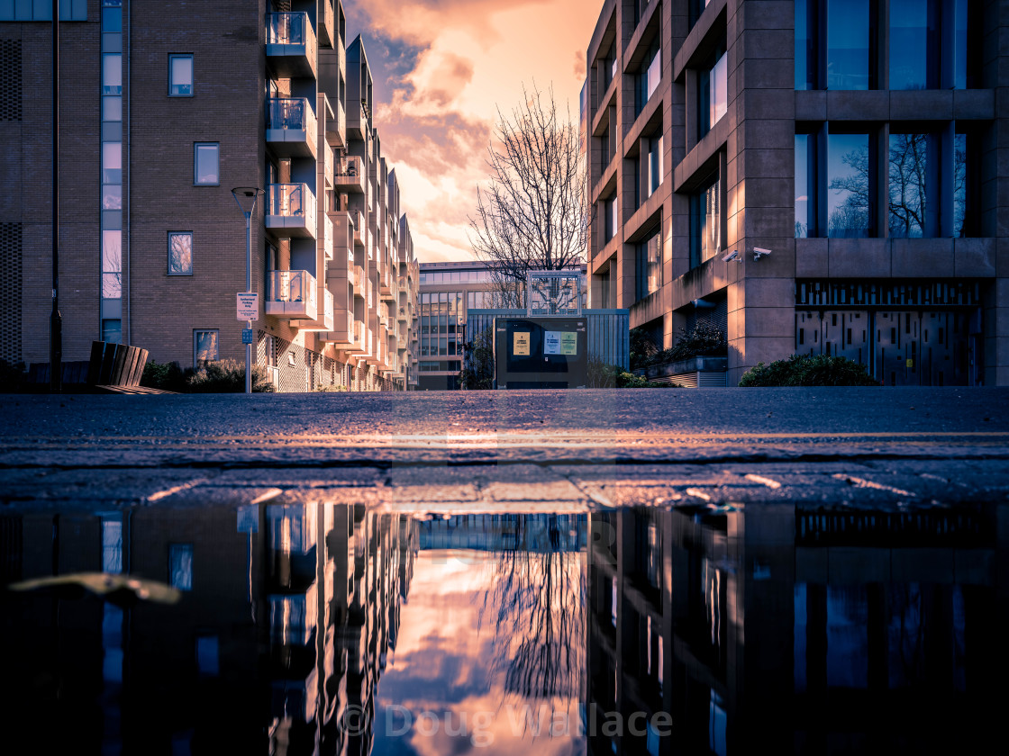 "Reflections of Sunset." stock image