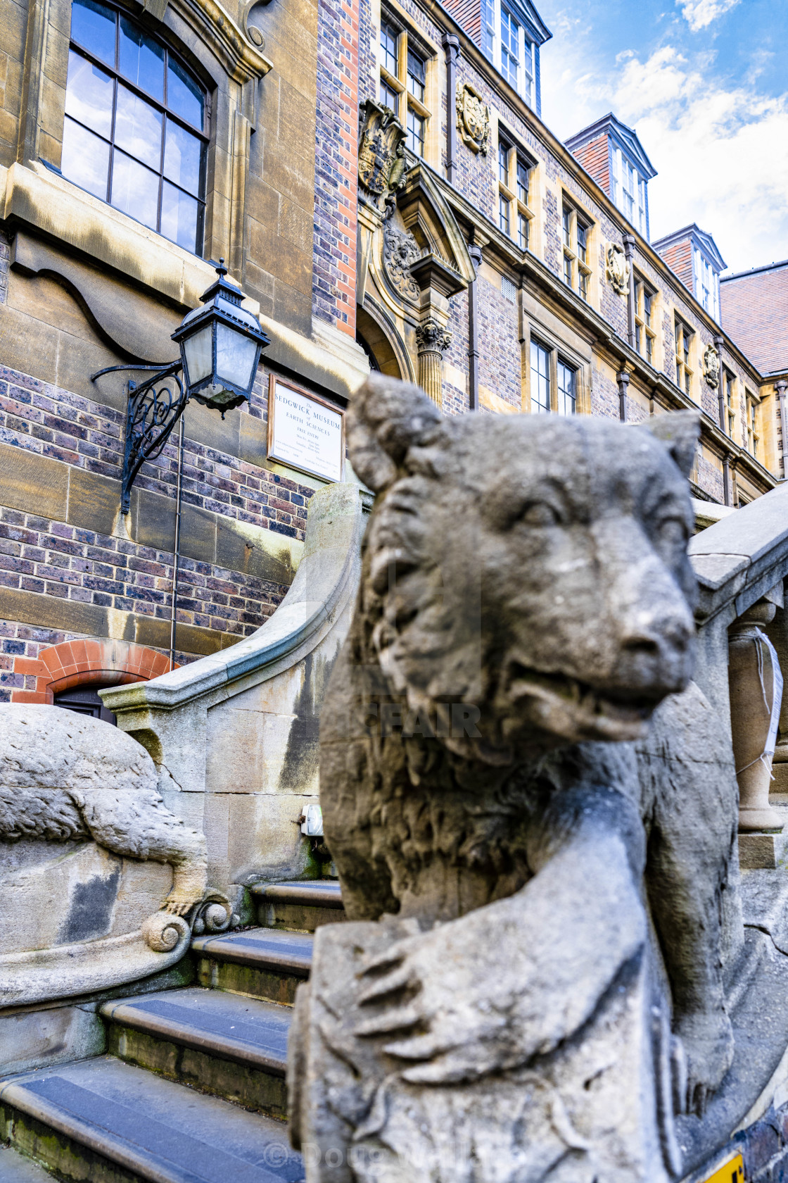 "Sedgwick Museum, Cambridge UK." stock image