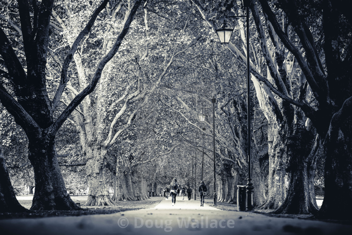 "Jesus Green Footpath, Cambridge UK." stock image