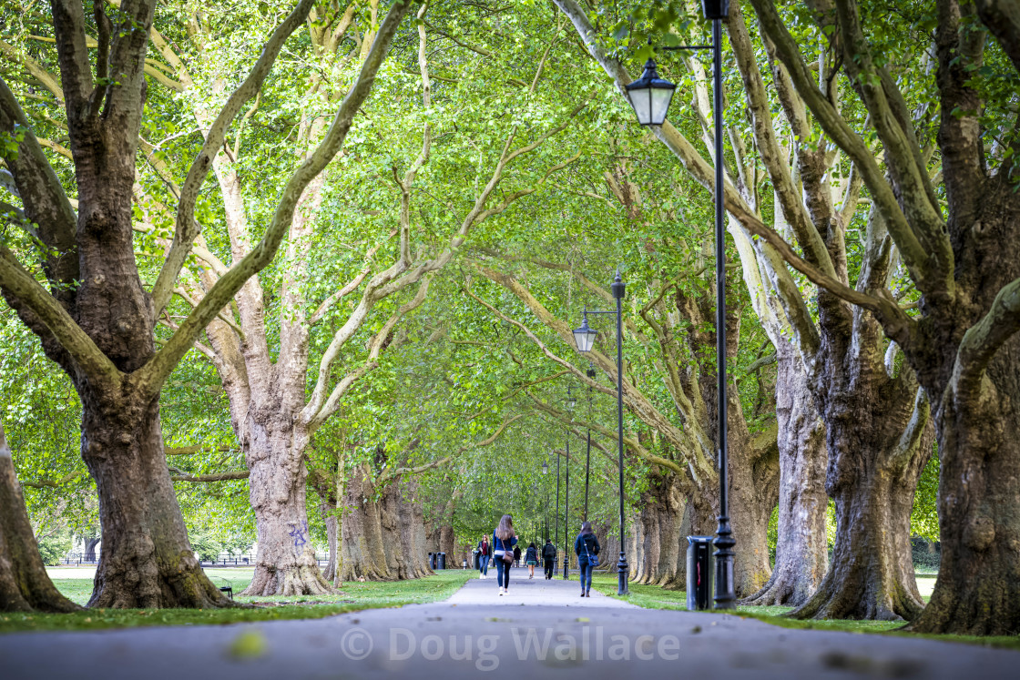 "Jesus Green, Cambridge UK." stock image