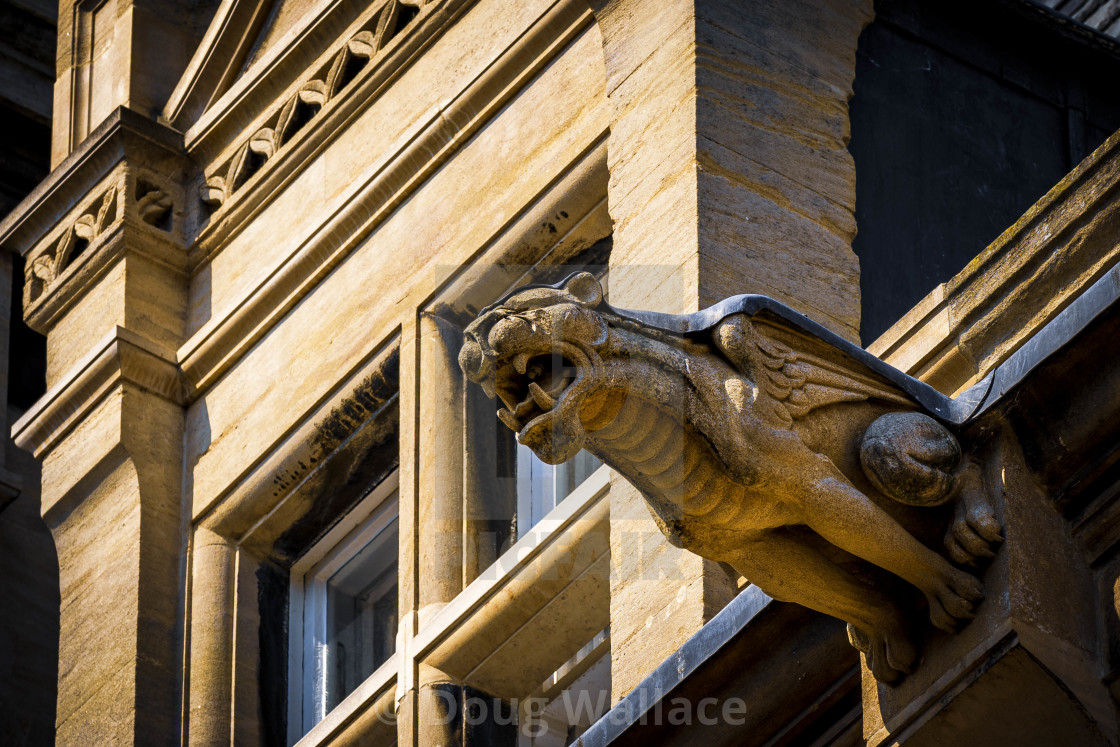 "Gargoyle from Gonville & Caius College, University of Cambridge." stock image