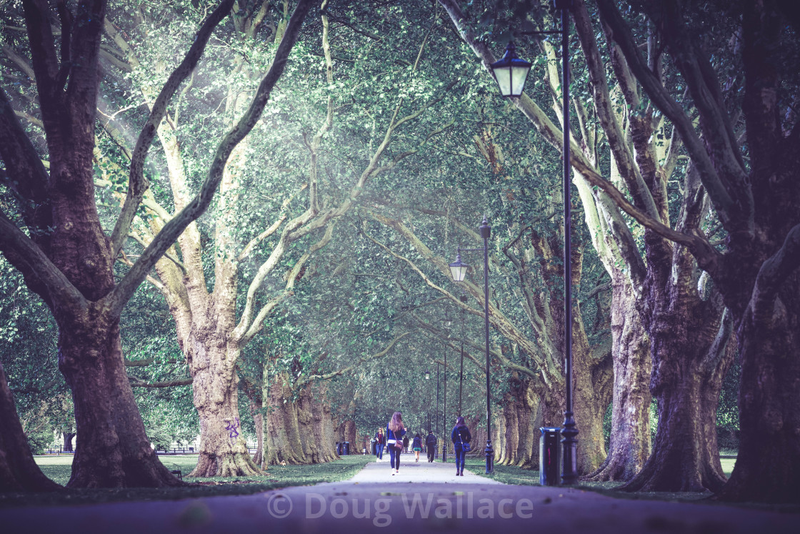 "Jesus Green Footpath, Cambridge UK." stock image