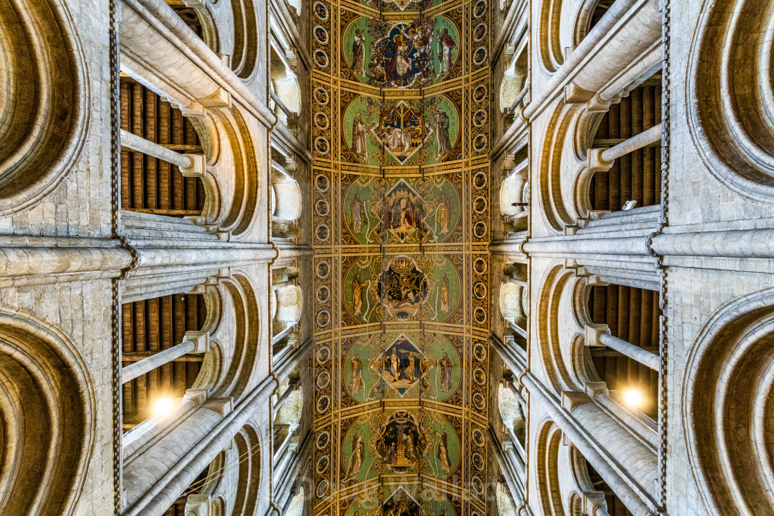 "Ely Cathedral Ceiling, Cambridgeshire UK." stock image