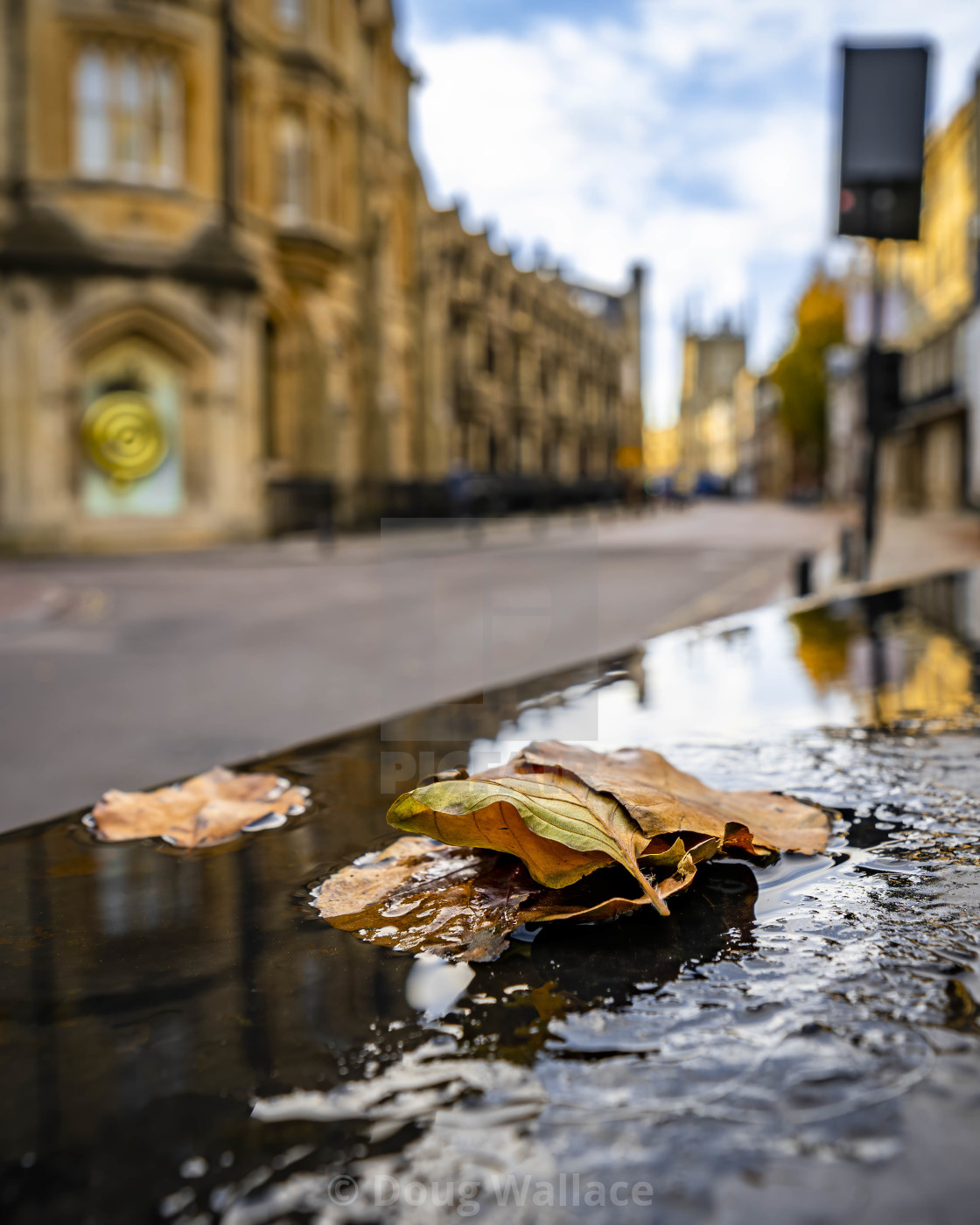 "Autumn Reflection from Kings Parade, Cambridge UK." stock image