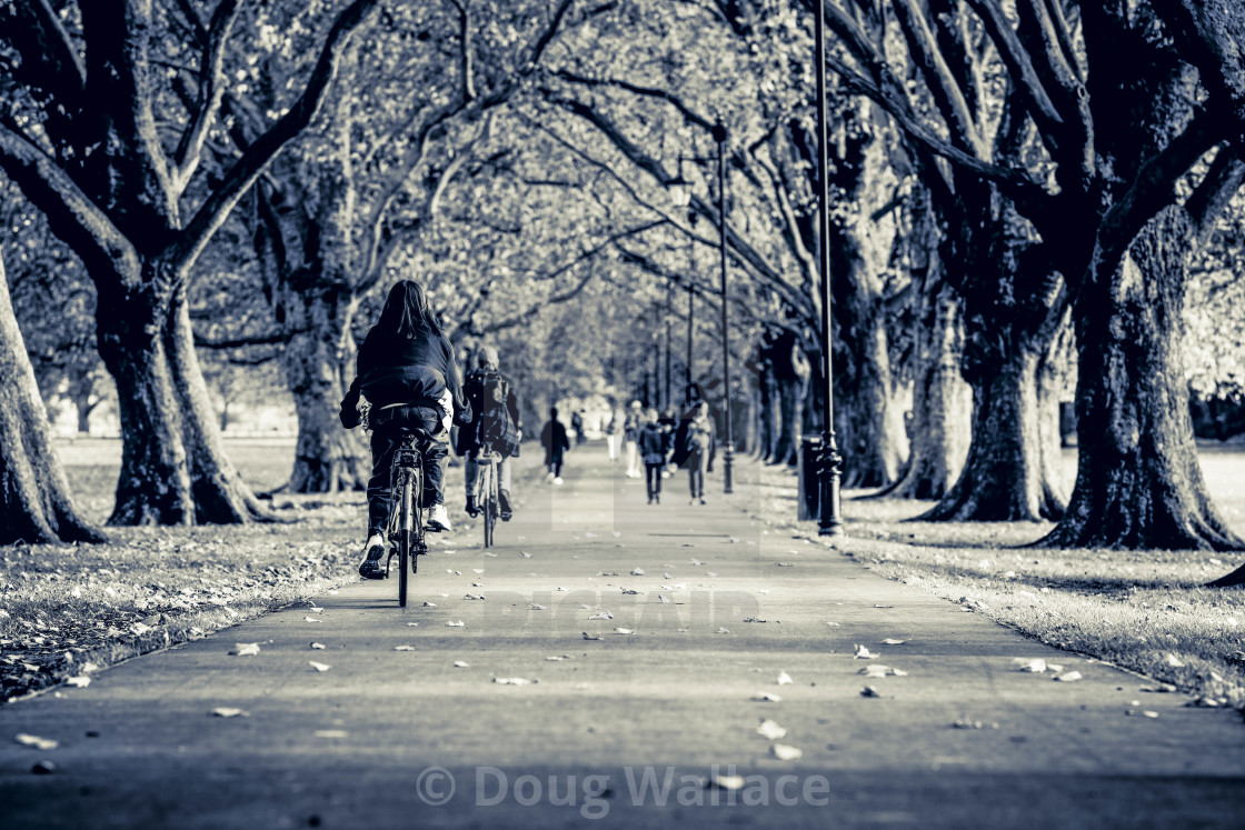 "Jesus Green footpath, Cambridge UK." stock image