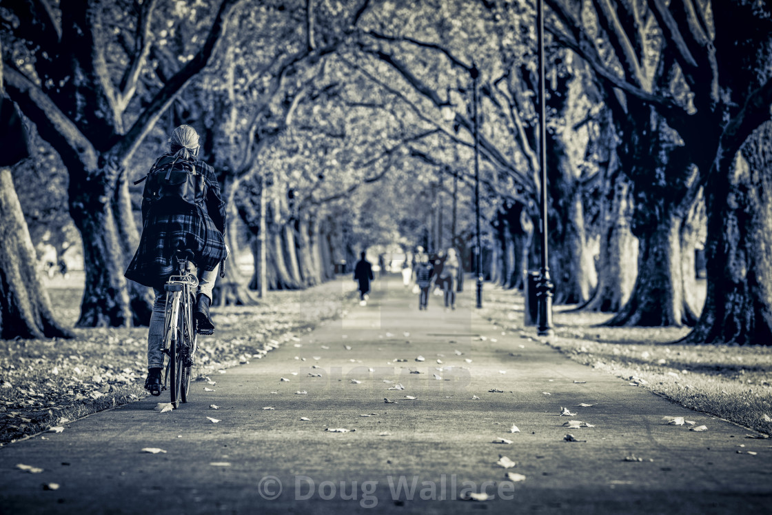 "Jesus Green footpath, Cambridge UK." stock image