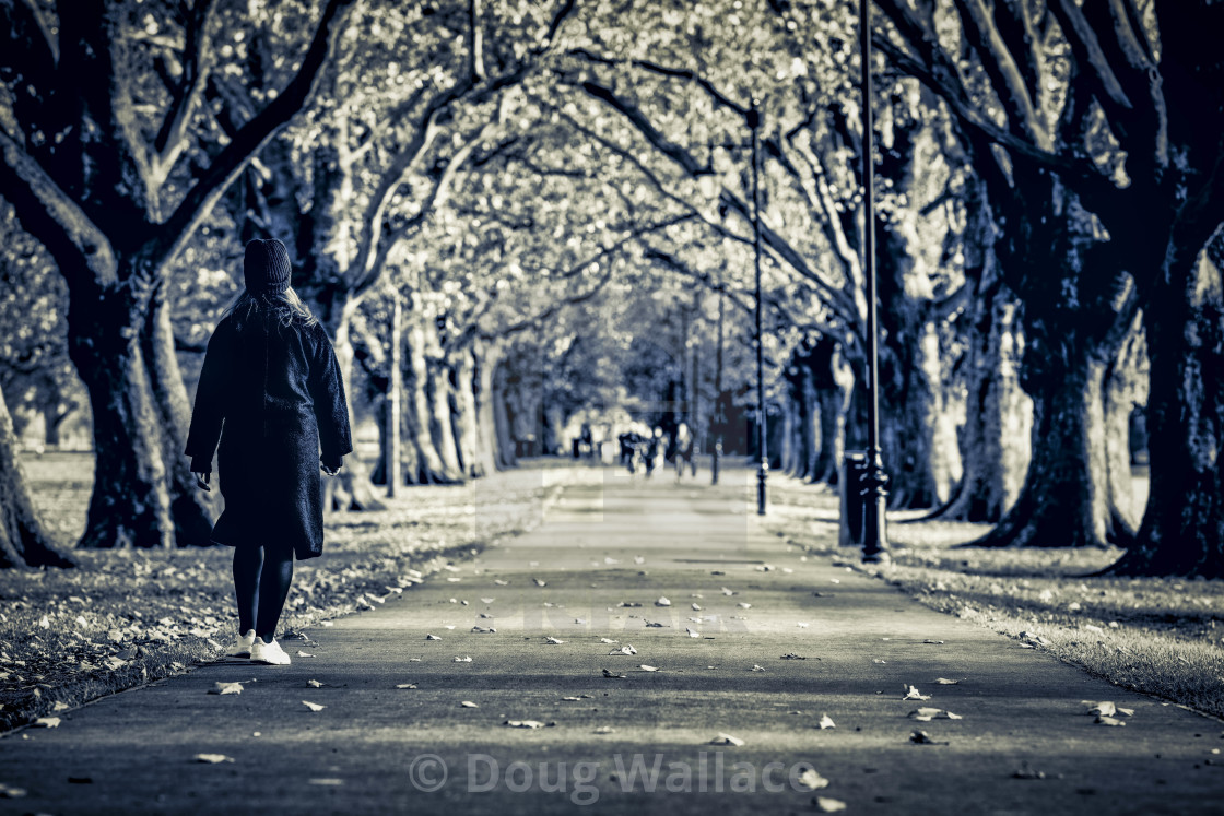 "Jesus Green footpath, Cambridge UK." stock image