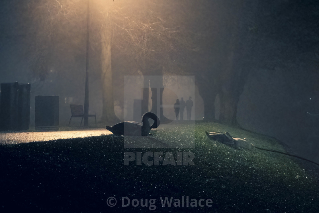 "Foggy late night walk by The River Cam, Cambridge UK." stock image