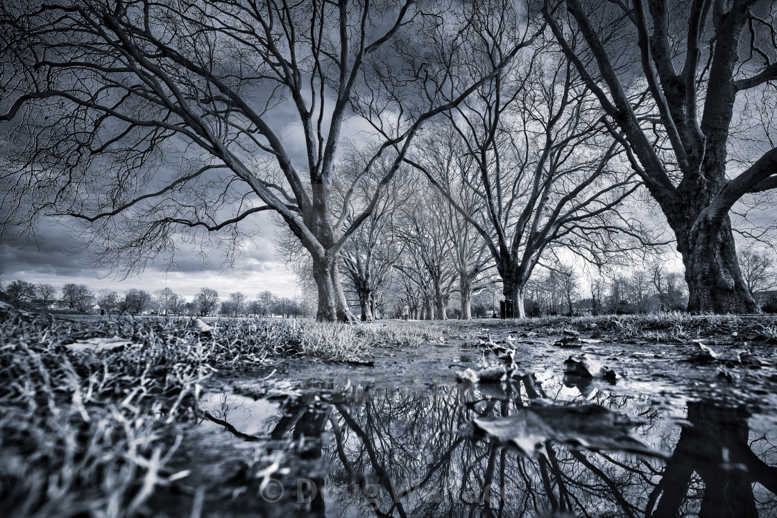 "Jesus Green in Black and White, Cambridge UK." stock image