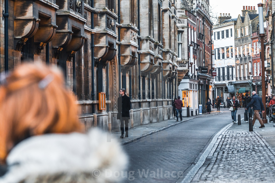 "Trinity Street, Cambridge UK." stock image