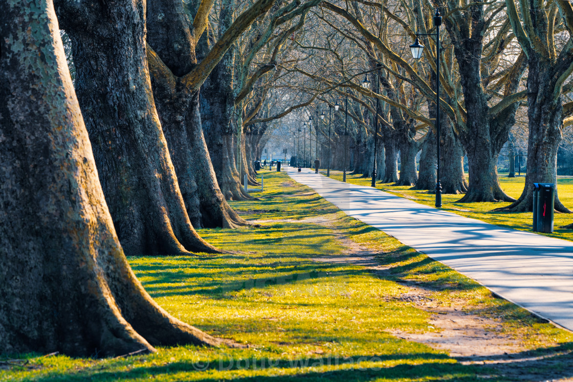 "Sunrise from Jesus Green, Cambridge UK." stock image