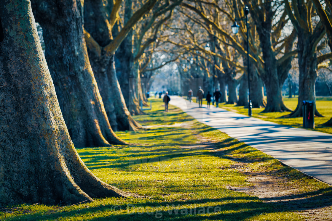 "Sunrise from Jesus Green, Cambridge UK." stock image