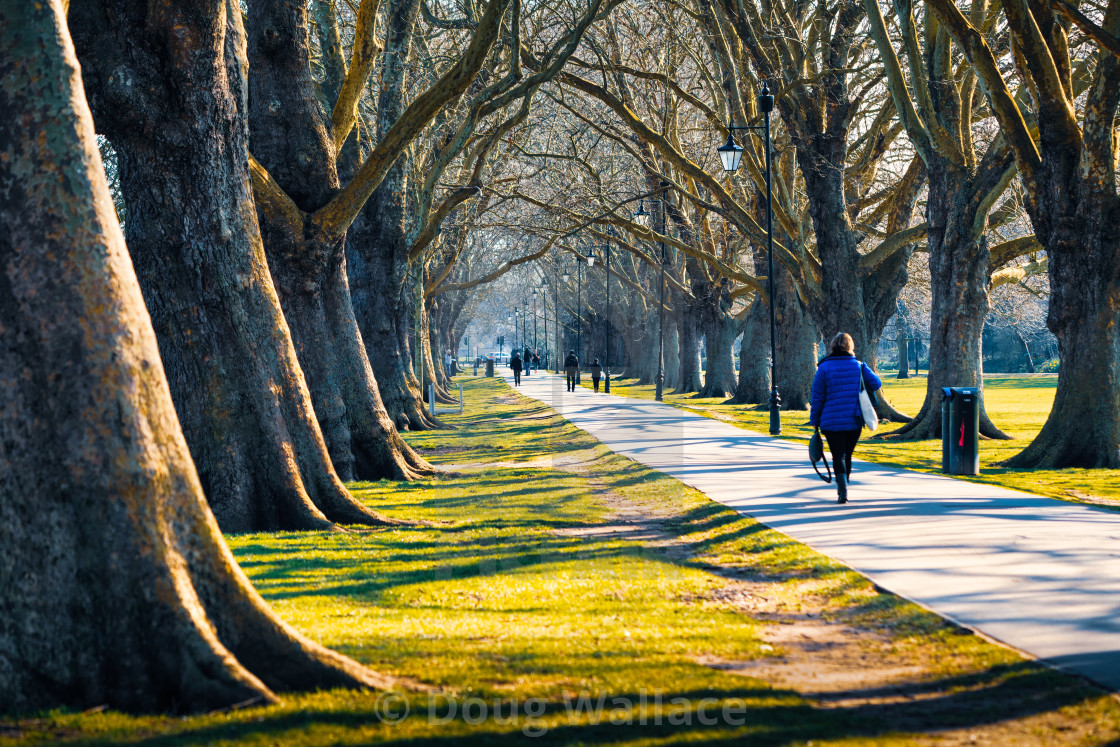 "An early morning walk from Jesus Green, Cambridge UK." stock image