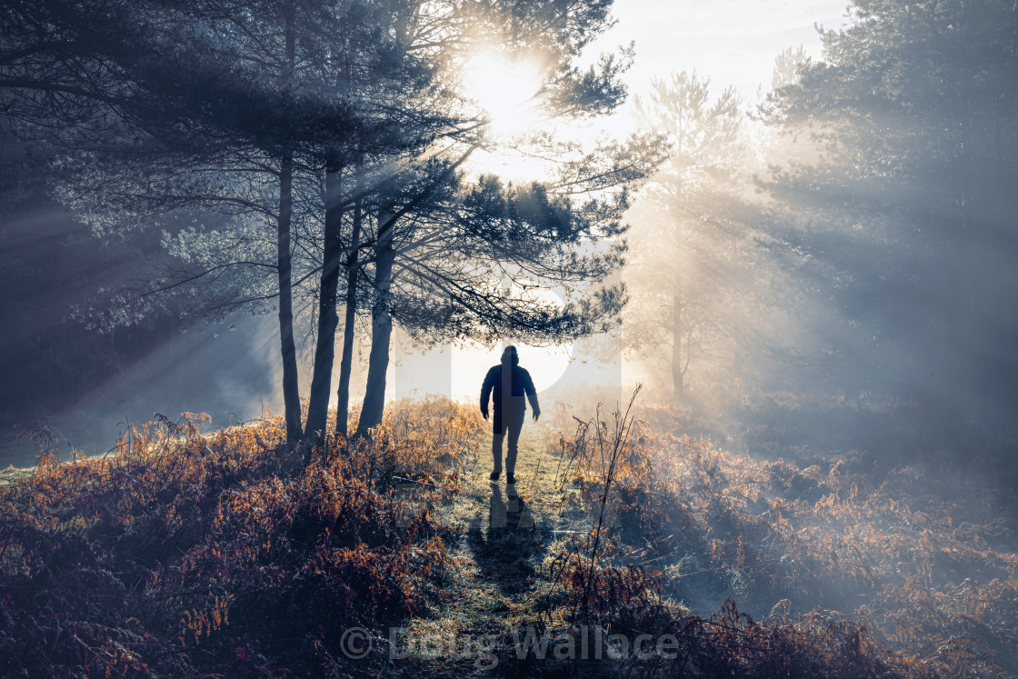 "Sunrise from Thetford Forest, Thetford UK." stock image