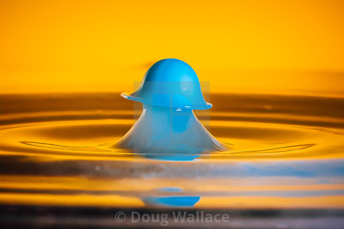 "Mushroom waterdrop." stock image