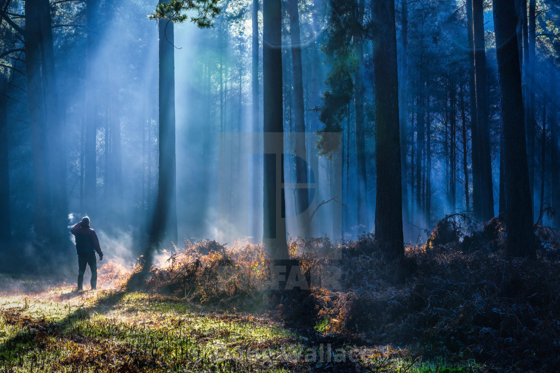 "Foggy sunrise from Thetford Forest, UK." stock image