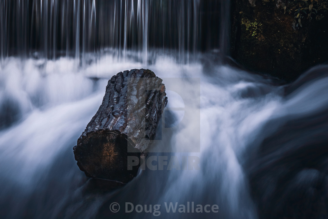 "A fallen log from The River Cam, UK." stock image