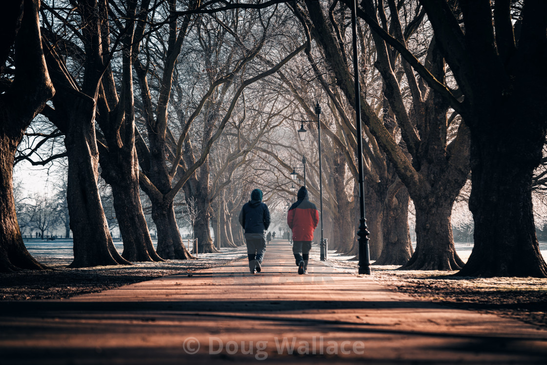 "Cold morning walk from Jesus Green, Cambridge UK." stock image